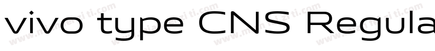 vivo type CNS Regular字体转换